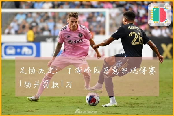 足协决定：丁海峰因恶意犯规停赛1场并罚款1万